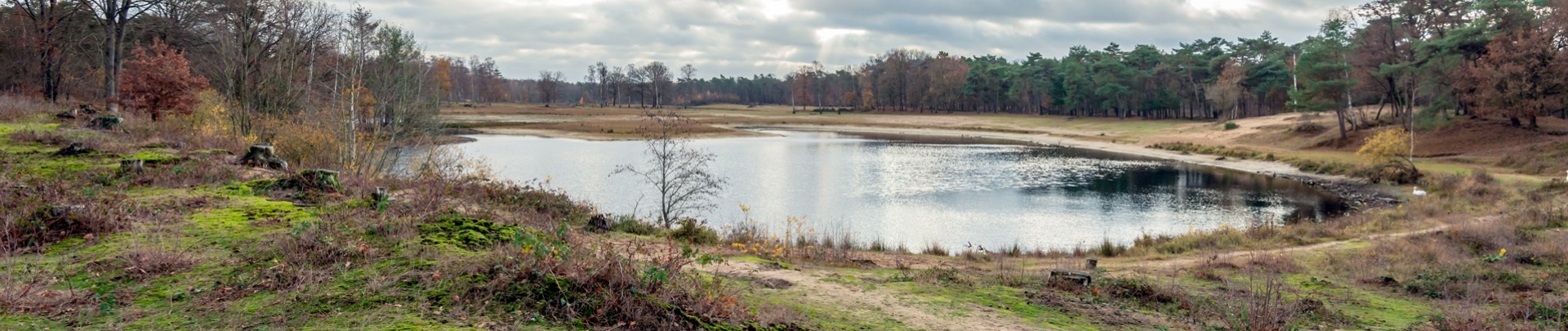 Met water gevulde oude kleigroeve in Boswachterij Dorst, een natuurgebied nabij het dorp Dorst, gemeente Oosterhout, Noord-Brabant, Nederland.